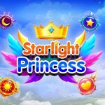 Starlight Princess Nasıl Oynanır
